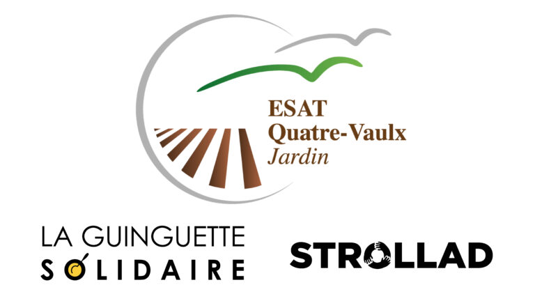 Logo ESAT 4 Vaulx-Jardin