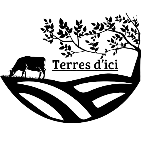 Logo Terres d'ici